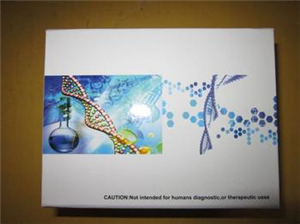 С|(zh)(x)1a(SDF-1a/CXCL12)ELISA Kit My