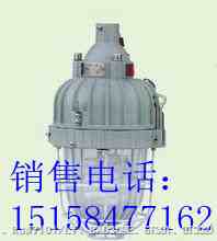 【BAD81】防爆緊湊型節(jié)能燈(IIC)