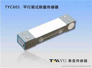 TYC601ƽʽش