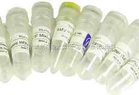 CAS:7789-77-7,},͸}ʯ,}ˮ,Calcium hydrogenp